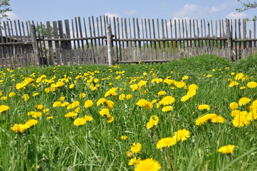 Similar image 724683