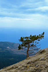 Similar image 724737