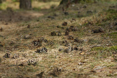 Similar image 724742