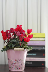 Similar image 724750