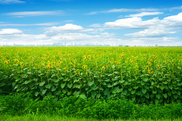 Similar image 724752