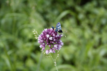 Similar image 724754