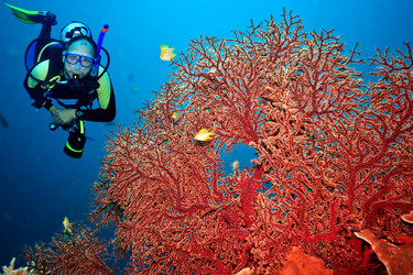 Similar image 724801