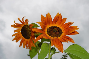 Similar image 724820