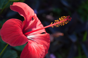 Similar image 724838