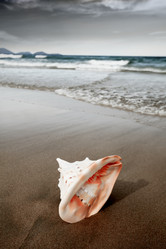 Similar image 724840