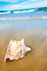 Similar image 724842