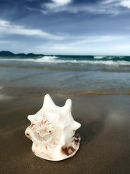 Similar image 724843