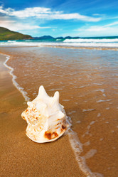 Similar image 724844