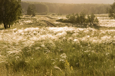 Similar image 724847