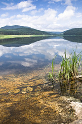 Similar image 724850