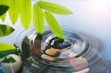 Similar image 724931