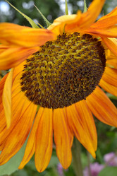 Similar image 725057