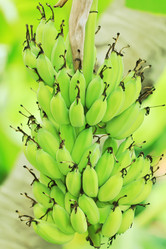 Similar image 725143