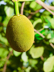 Similar image 725147