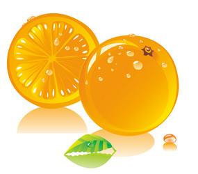 Similar image 725163