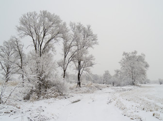 Similar image 725220