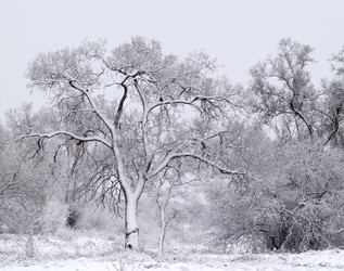 Similar image 725221