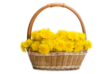 Similar image 725233