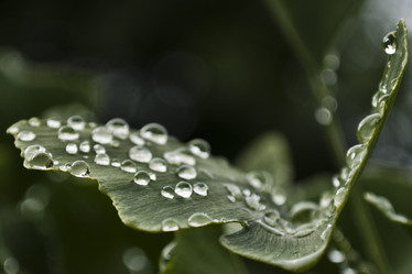 Similar image 725237