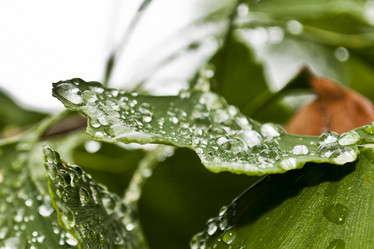 Similar image 725239