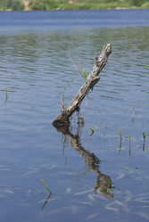 Similar image 725323