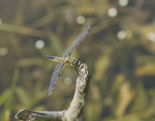 Similar image 725324