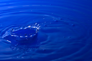 Similar image 725325