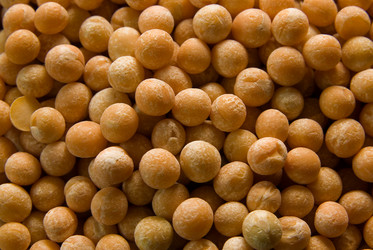 Similar image 725335