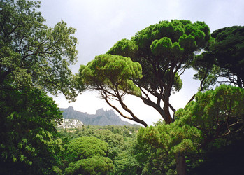 Similar image 725404