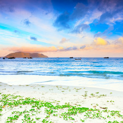 Similar image 725491