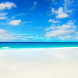 Similar image 725522