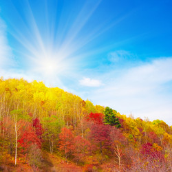 Similar image 725580