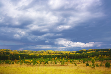 Similar image 725583