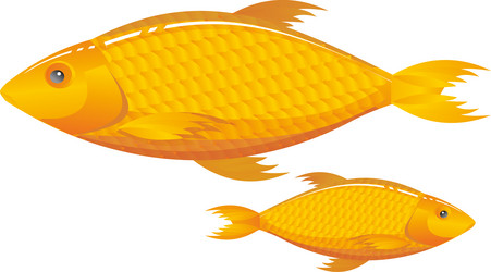 Similar image 725596