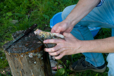 Similar image 725602