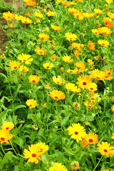 Similar image 725612