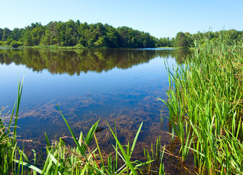 Similar image 725618