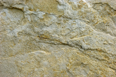 Similar image 725623