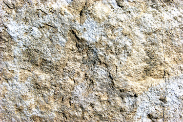 Similar image 725628