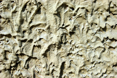 Similar image 725629