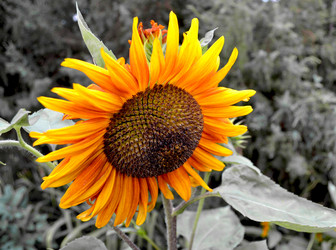 Similar image 725641