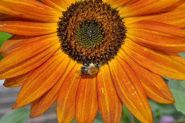 Similar image 725642