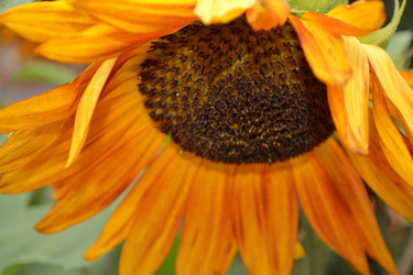 Similar image 725643