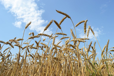 Similar image 725645