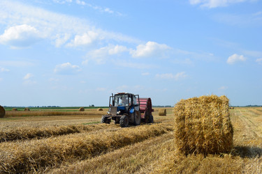 Similar image 725646