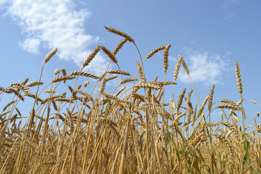 Similar image 725649