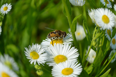 Similar image 725653