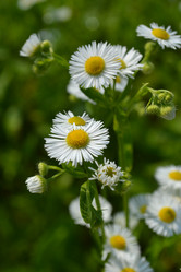 Similar image 725659