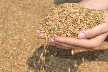 Similar image 725676